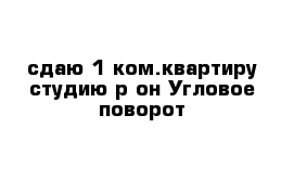 сдаю 1-ком.квартиру-студию р-он Угловое-поворот